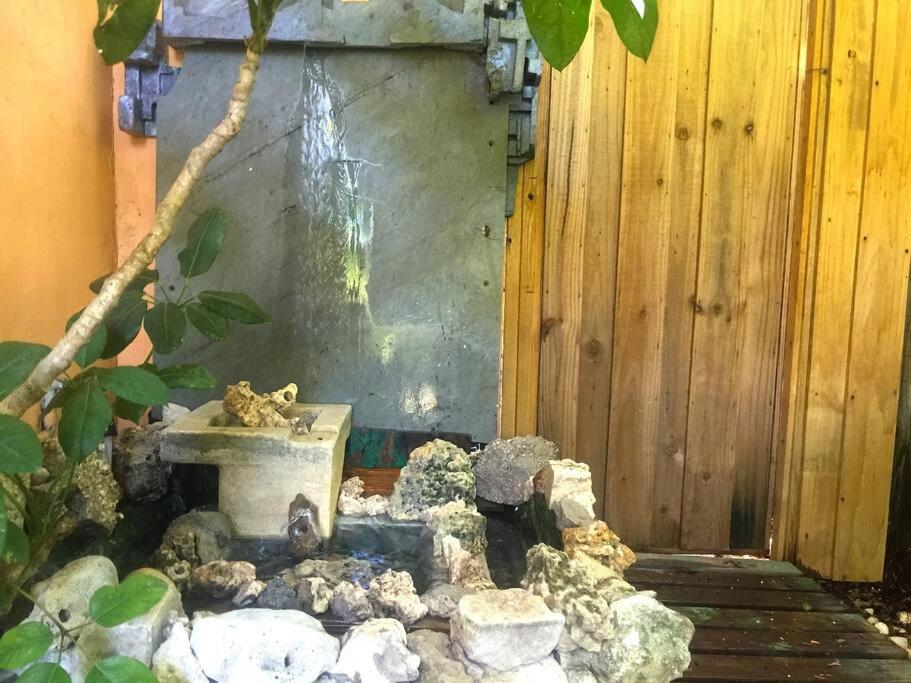 Miami Bungalow Oasis Near Everglades & The Keys カトラー・ベイ エクステリア 写真
