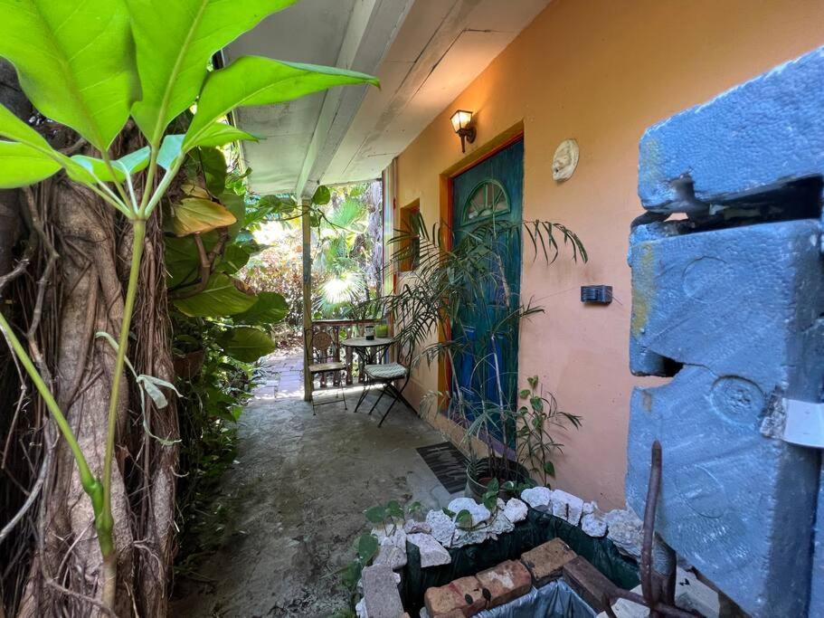 Miami Bungalow Oasis Near Everglades & The Keys カトラー・ベイ エクステリア 写真