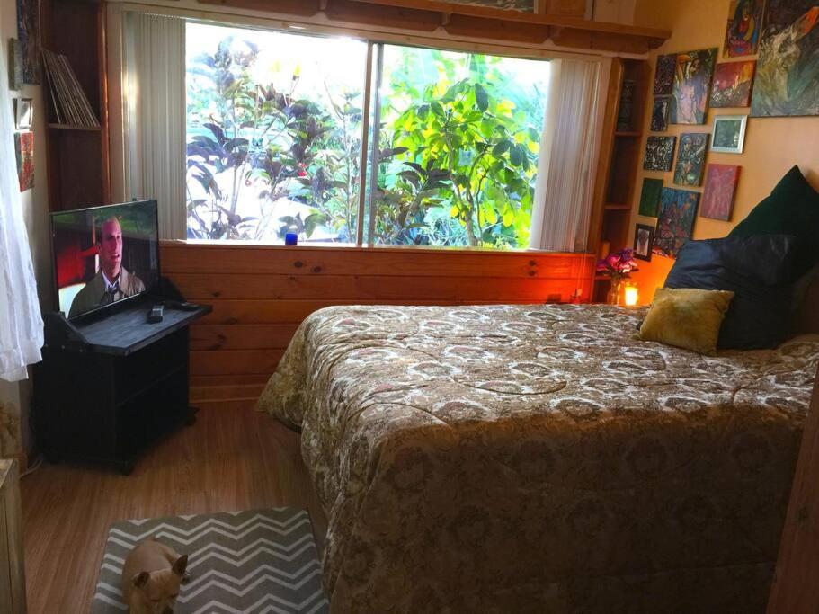 Miami Bungalow Oasis Near Everglades & The Keys カトラー・ベイ エクステリア 写真