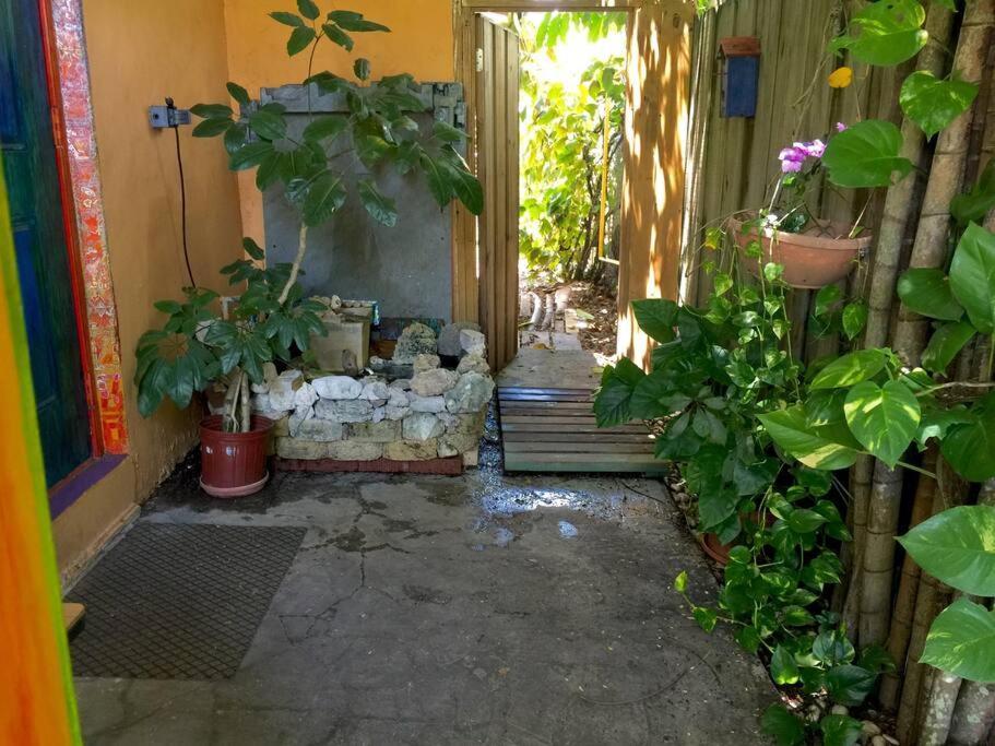 Miami Bungalow Oasis Near Everglades & The Keys カトラー・ベイ エクステリア 写真